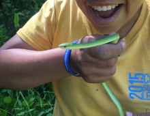 woman holds green snake 